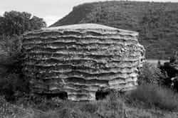 Bunkers de la guerre civile espagnole à Isona