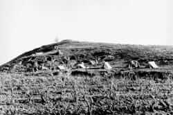 Francoist Tendes to Mont Conques (Isona)