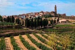 Corbera d'Ebre i Vinyes vue Vilalba dels Arcs des