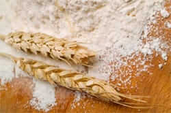 The bread in the Llucanes (wheat flour mill wheat)