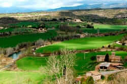 El pan en el Lluçanès (campos Lluçanès)