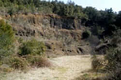 Route des Volcans Boc Horn (argiles décharges corne de chèvre)