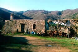 Des d\'Osor fins al Sant Miquel de les Formigues ( Dels Gelats Osor)