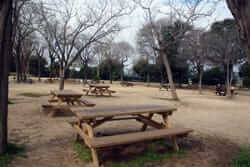 Picnic Barcelona (Joan Brossa Gardens Barcelona)