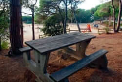 Picnic Barcelona (Mataro Maresme Forest Park)