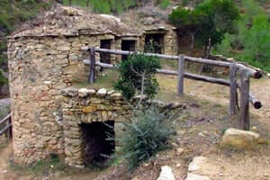 Tines entre vinyes al Pont de Vilomara i Rocafort (Tines De Escudelleta)