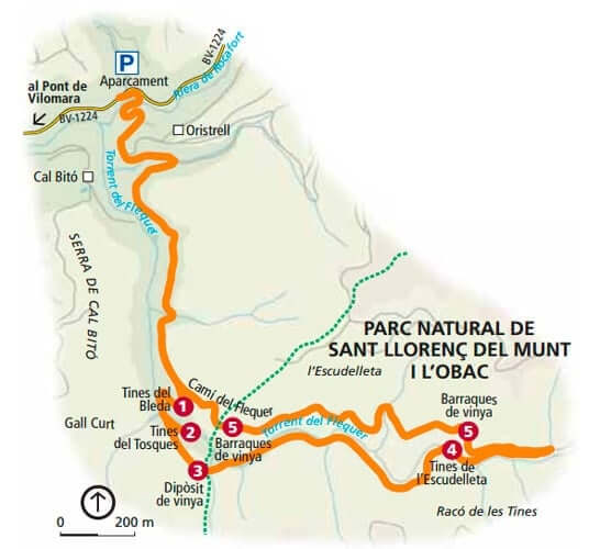 Tinas entre viñedos en el Pont de Vilomara i Rocafort (Mapa Ruta tinas Flequer)