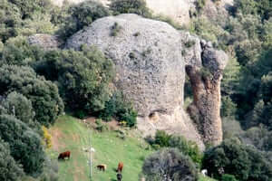 The Ribera Salada (Ribera Salada Rock Codro Elefante)