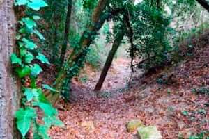 A walk through the shady Clariana (Zanja De La Socarrada)