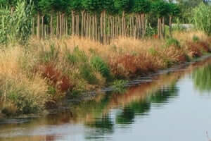 Ruta por la acequia Vinyals (Ruta Sequia Vinyals)