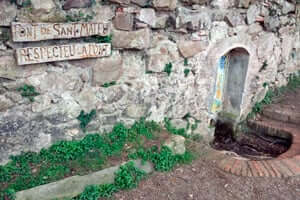 Ruta de l'esquirol a Premià de Dalt (Font De Sant Mateu)