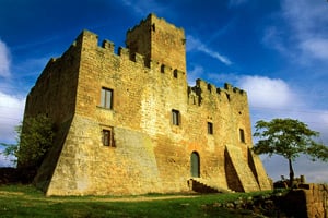 r146-castillo-de-las-silos-la-segarra