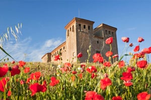 r148-château-de-montcortes-la-segarra-sio