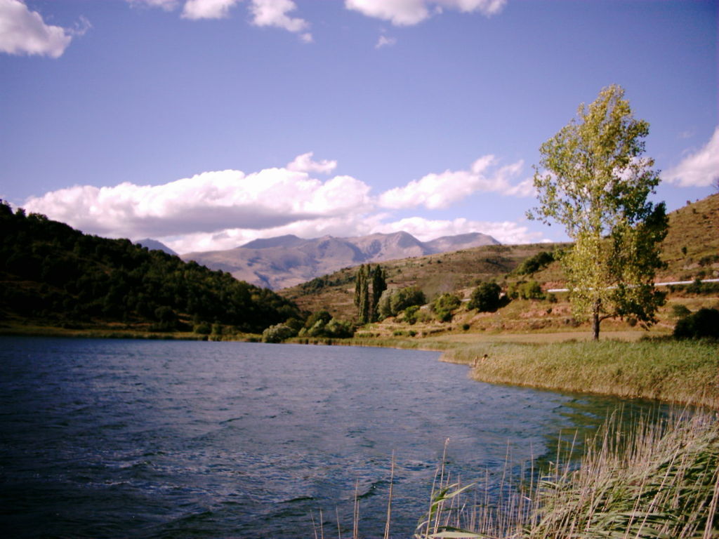 r276_TrenLleida_Estany_de_moncortes_Cayetano Roso