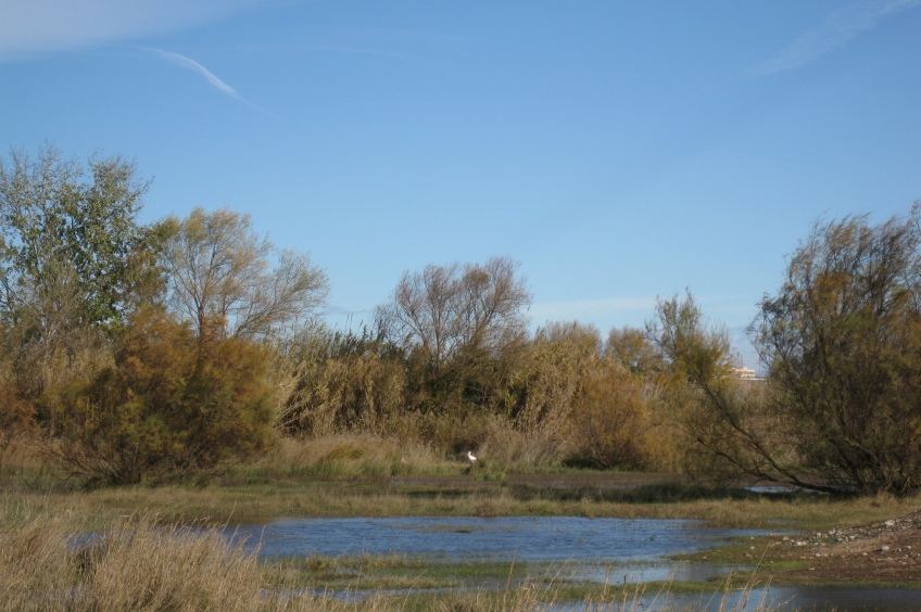 Circular route in the southern section of the road from the river to Lleida