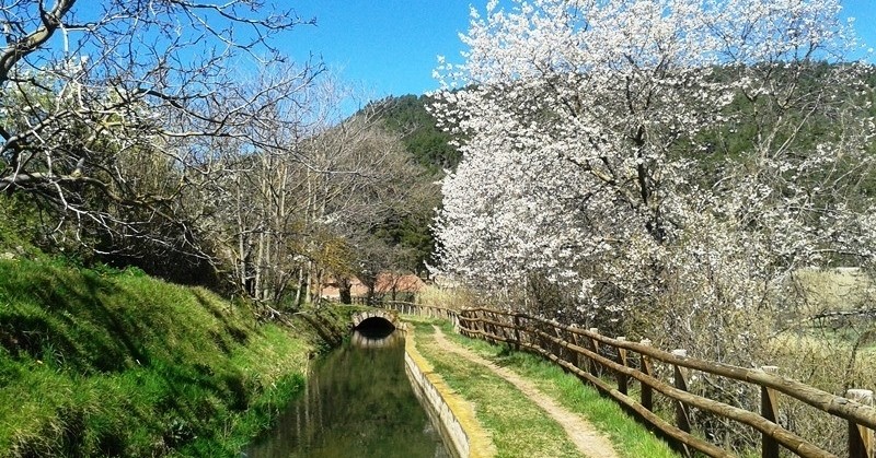 4 itinéraires le long de la rivière Llobregat