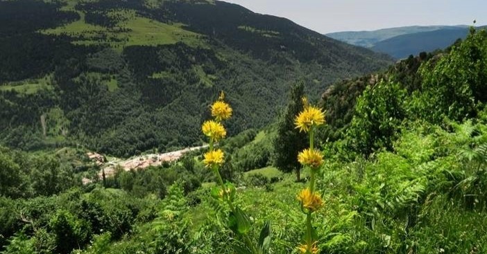 Camino de las cabañas y el hayedo en Setcases