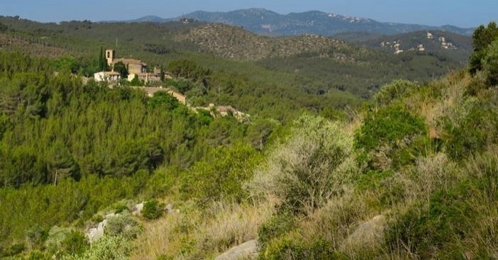 Chemin du Vieux Château d'Olivella