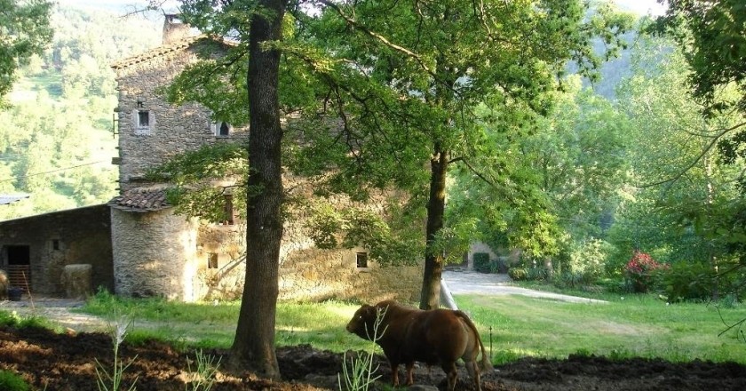 Road Ral de Vallfogona in Ripoll