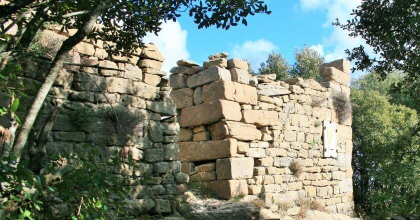 Francesc de Verntallat, el camí dels Remences