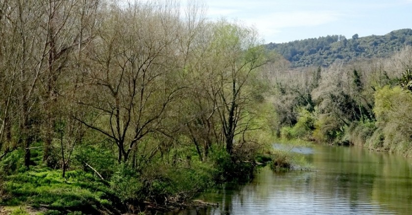 The Congost and the mountain dels Sants Metges in Sant Julià de Ramis