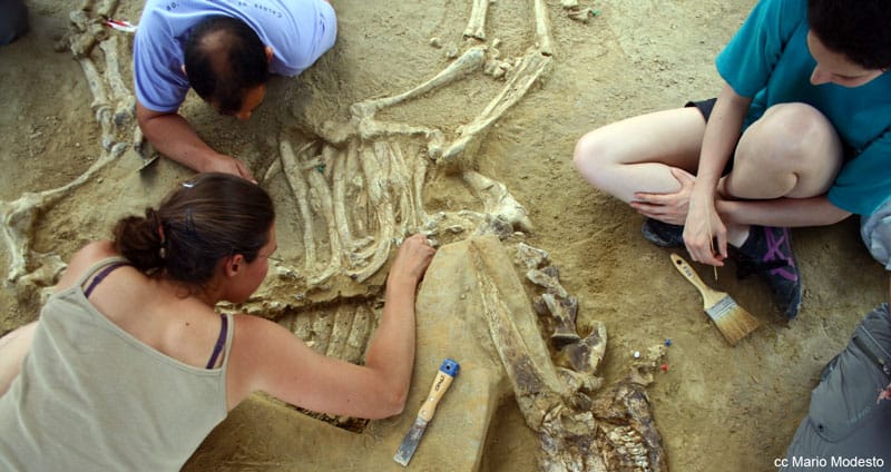 El misterio del Camp dels Ninots