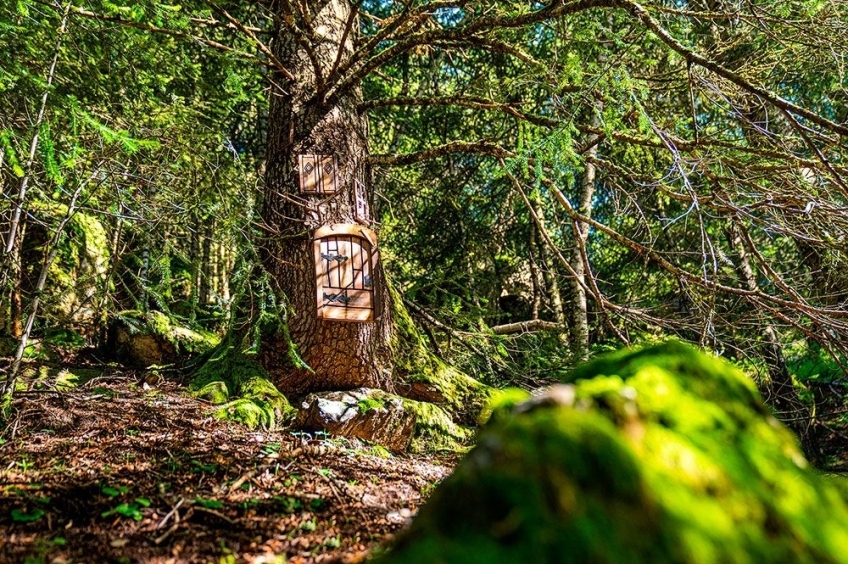 Endinsa't al Bosc dels Menairons a Andorra