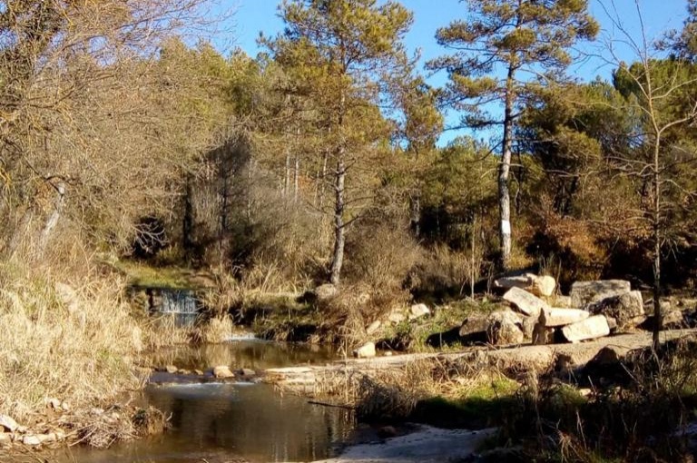 De Navàs à La Font de Gusart