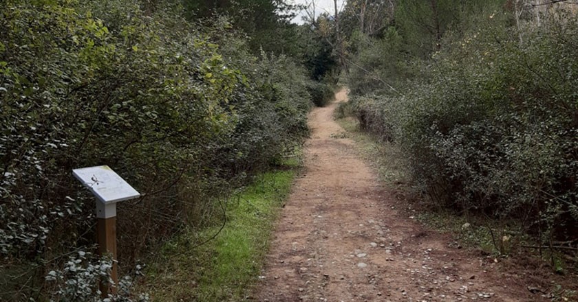 Itinerari de Benestar i Silenci a Sant Celoni