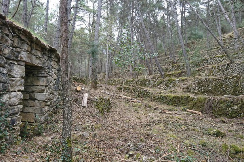 Itinerario por el viñedo del Lari, en Súria