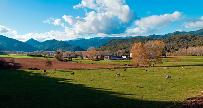 La Vall de Bianya, nature and heritage in the Garrotxa