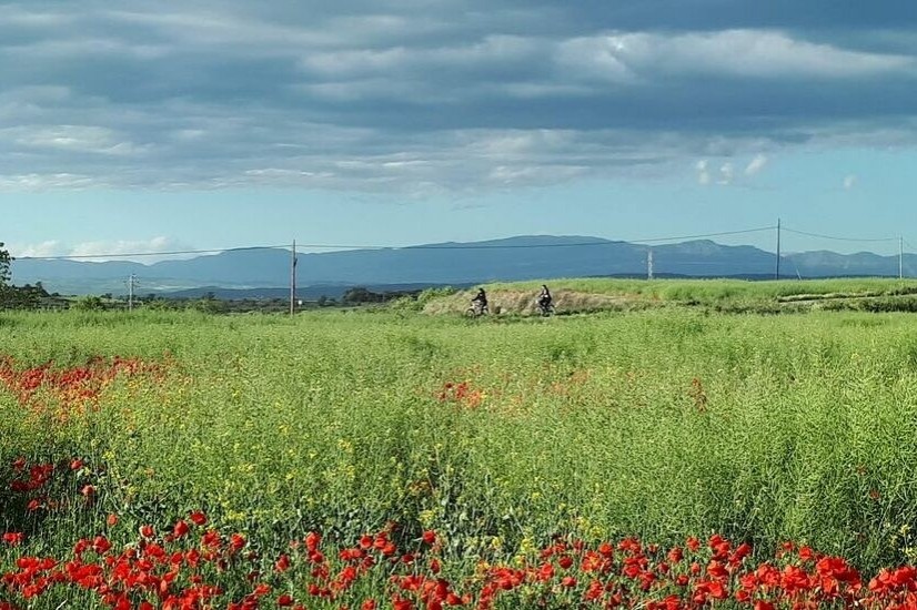 La Vía Verde de Guissona