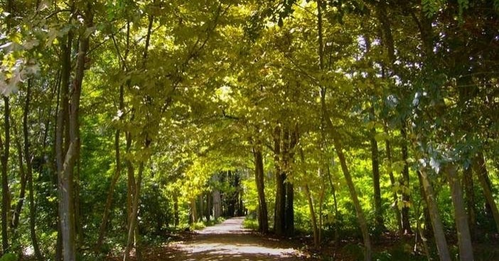 Une promenade dans les prés et les vergers de sel