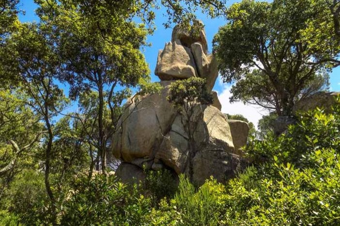 Un viatge a la prehistòria per l'Ardenya-Cadiretes, a Tossa de Mar