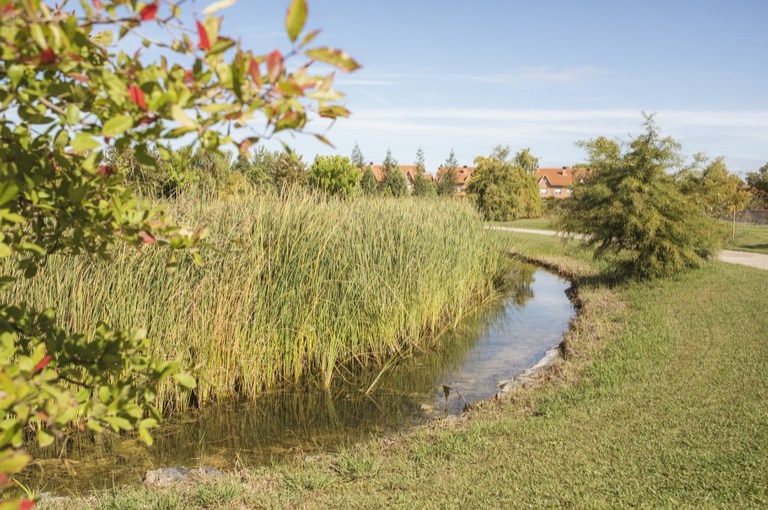 Walk between flowers and irrigation channels in Lleida