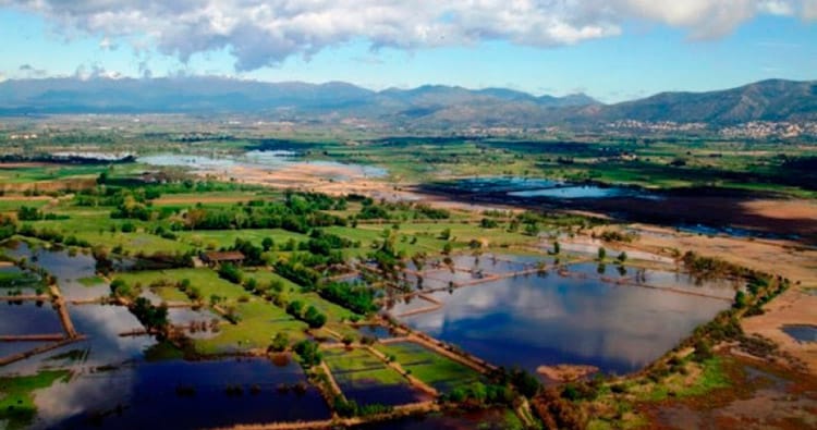 Pédaler sur les zones humides de l'Empordà