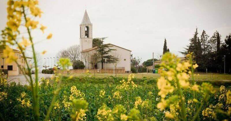 Ruta a la margenera de la riera Seca de Campllong