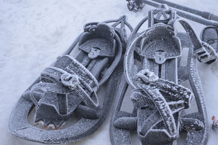 Route with snowshoes in the Mirador del Pla de la Leche from El Fornell