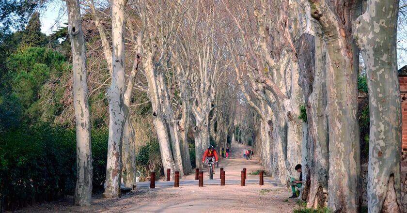 Boca de la Mina Route in Reus