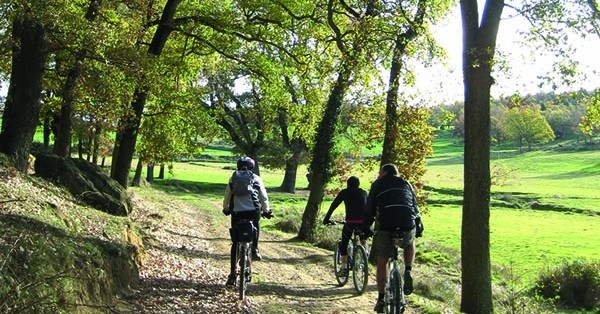 Route forestière de Casanoves - El Querol à Collsuspina