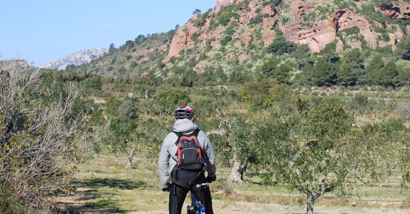 Ruta cicloturística del aceite en Mont-roig del Camp