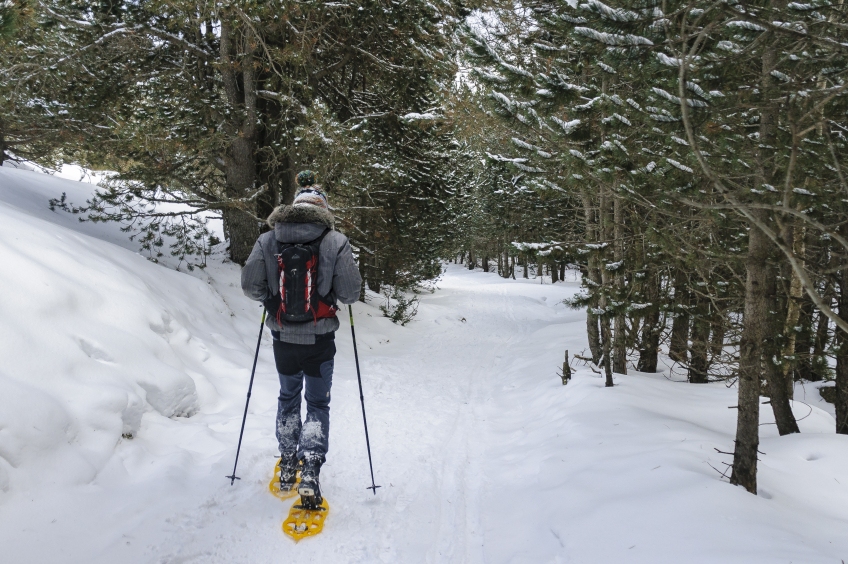 Circular route with snowshoes through the Pedró dels Quatre Batlles, Tossa Pelada and the Estivella