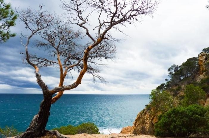 Ruta circular per la Cala La Pola a Tossa de Mar