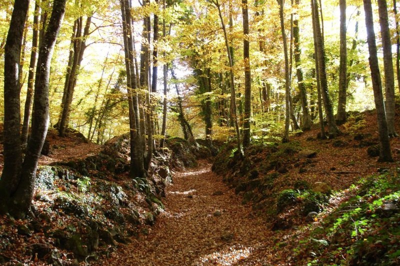 Itinéraire circulaire à travers les icônes de la Garrotxa