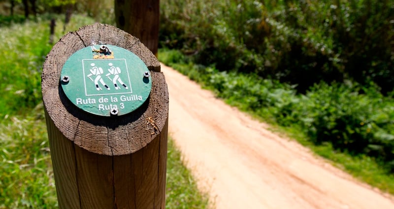 Ruta de la Guilla per Calella