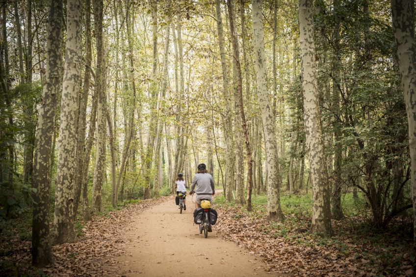 Route du Carrilet d'Olot à Gérone