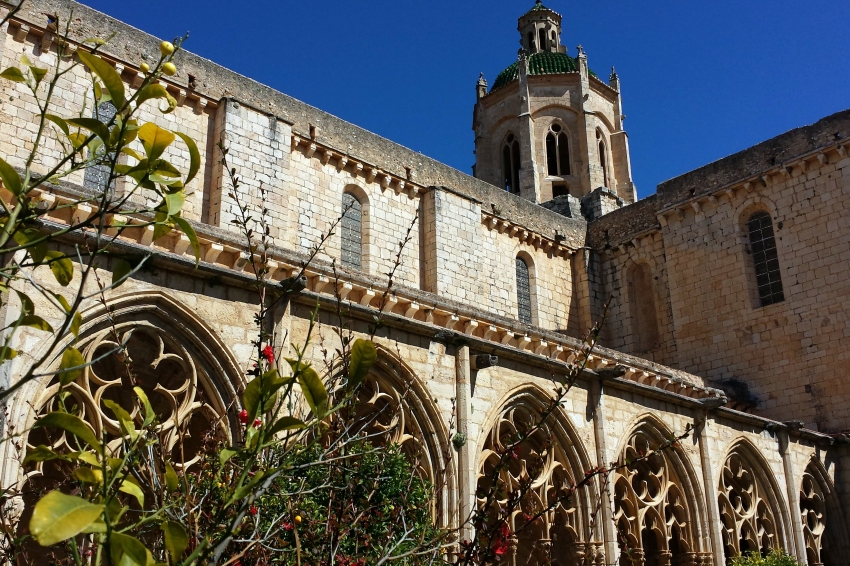 Route cistercienne: Culture, faune et flore autour de Santes Creus