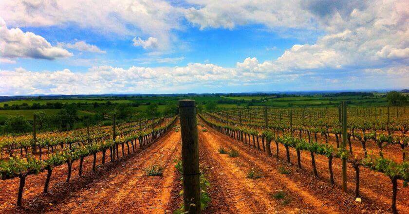 Ruta por los Planos de la Segarra