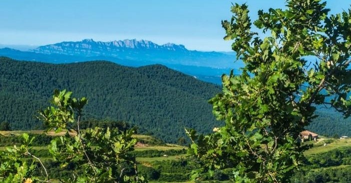 Parcourez le domaine du terroir à L'Estany