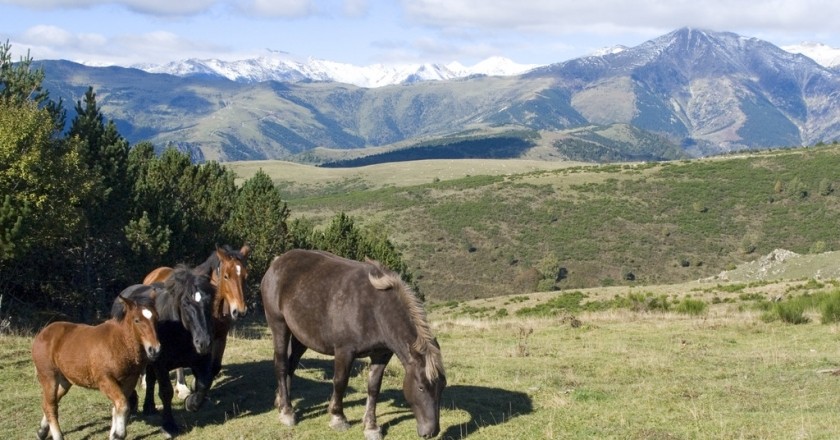 Ruta entre la vall de Camprodon i l'Alt Vallespir